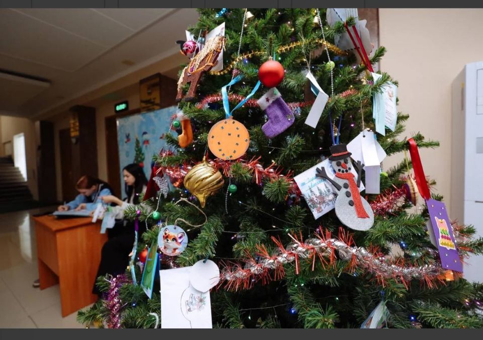 В Приамурье стартовала благотворительная акция «Стань Дедом Морозом»