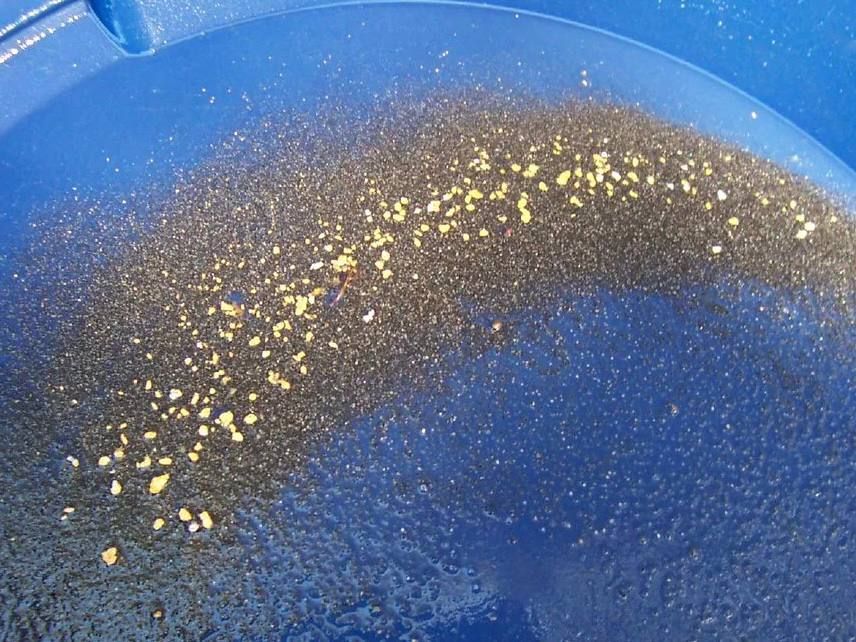 В Тындинском муниципальном округе старатель получил судимость за хищение у артели драгоценных металлов