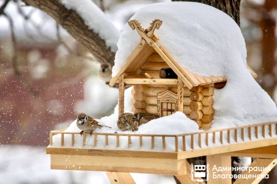 Прогноз погоды в Благовещенске на 1 декабря: