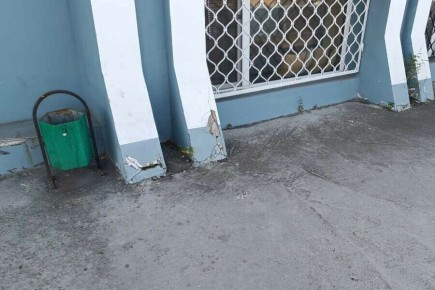       Amur.life   ,              ,    