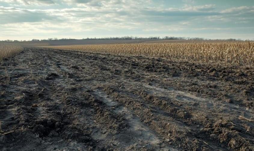 Горнодобывающая компания причинила миллионный ущерб землям Благовещенского округа