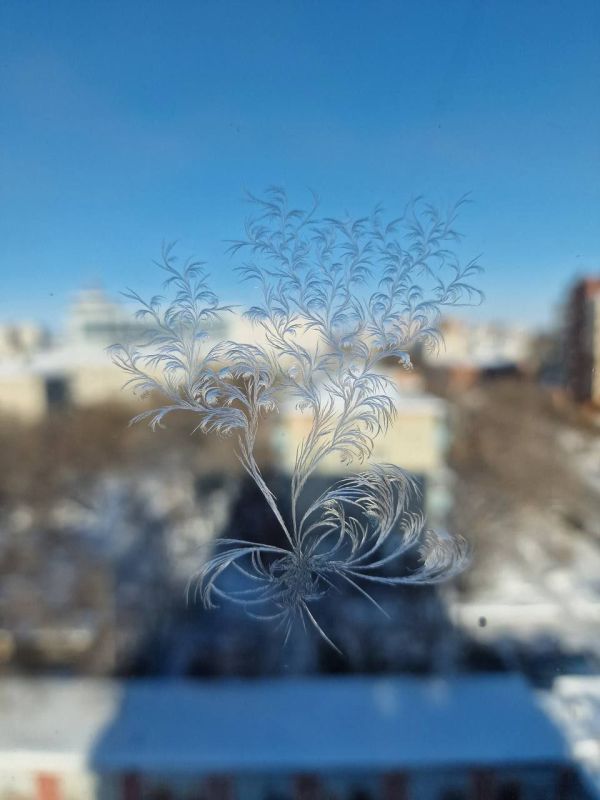 «Хочу поделиться такой красотой!