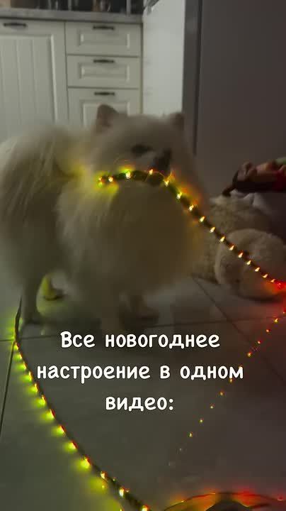 Доброе утро! . Посчитавшим бюджет на новогодние праздники посвящается