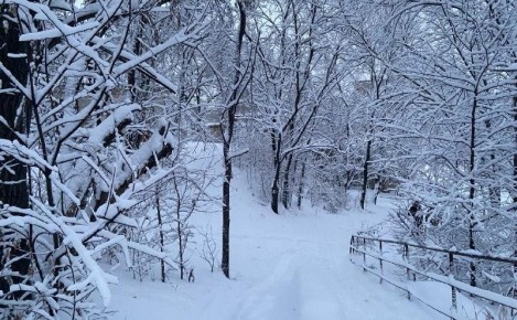 Прогноз погоды в Амурской области на 6 декабря (ПАЗЛ):