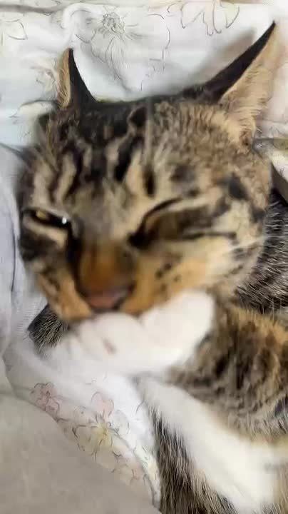 Так, так, так, пятница же! Последний рабочий день, а дальше занырнём в выходные