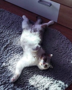 Беззаботное утро Марика. Фото от читателей @ampravda