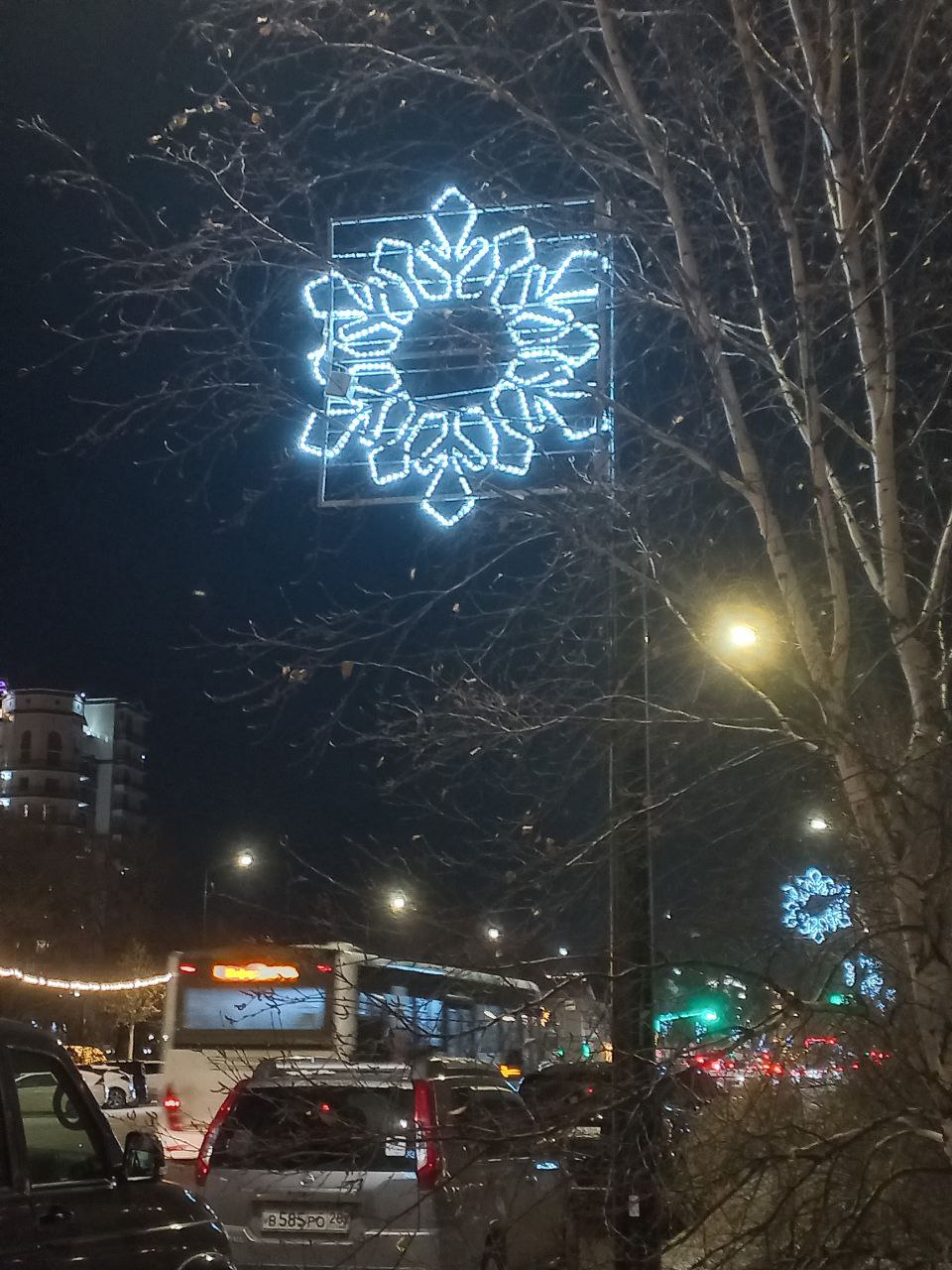 Новогодний Благовещенск Новогодний Благовещенск