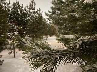 Прогноз погоды в Амурской области на 7 декабря