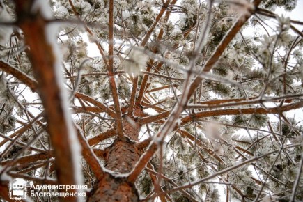 Прогноз погоды в Благовещенске на 6 декабря: