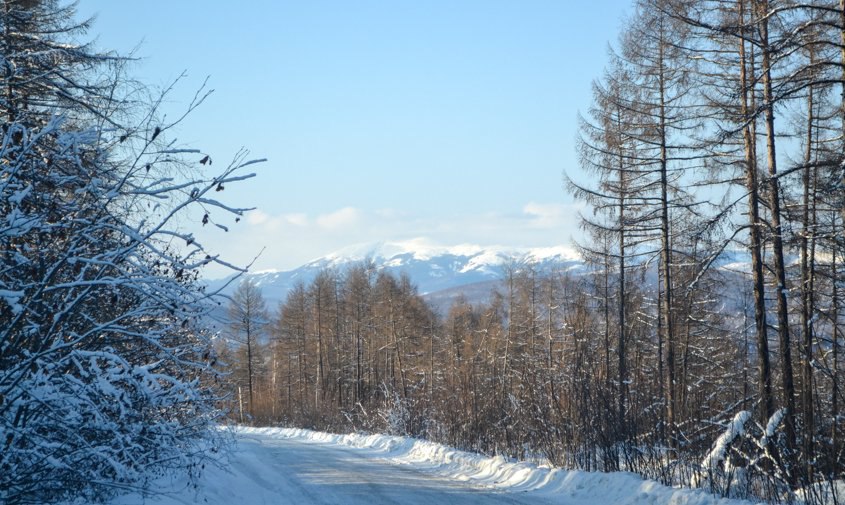 Прогноз погоды в Амурской области на 3 декабря (ПАЗЛ):