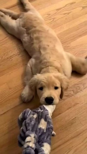 Доброе утро! . Прекрасно понимаем, но уже пора