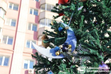 Полсотни благовещенских дворов включились в борьбу за 150 тысяч рублей