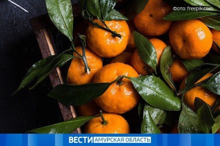 Цитрусовый бум: в ноябре импорт мандаринов в Приамурье вырос в 7 раз