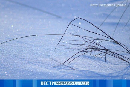 10 декабря по области пройдёт небольшой снег