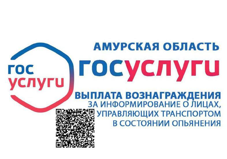 Госуслуги помогают бороться с нетрезвыми водителями: в Приамурье за сообщение о нарушителе заплатят 20 тысяч
