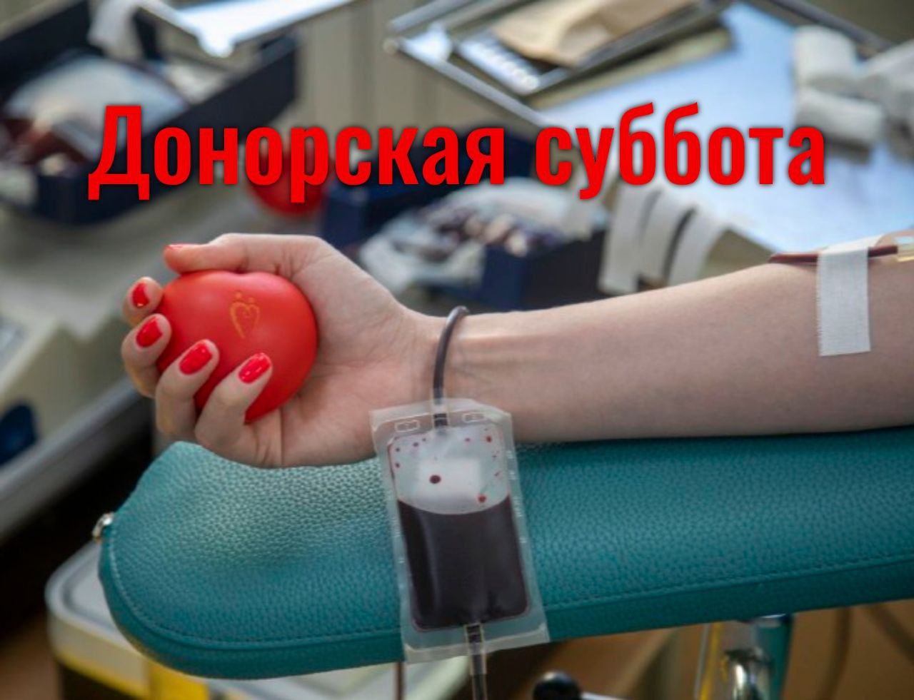 Амурчан приглашают принять участие в Донорской субботе