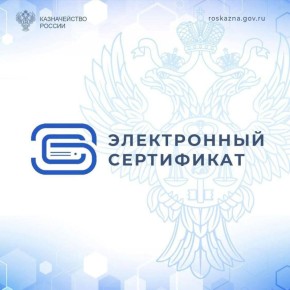 В преддверии Нового года в Амурской области началась реализация новой меры поддержки, благодаря которой семьи с низким уровнем дохода получили возможность покупать продукты питания с использованием электронного сертификата