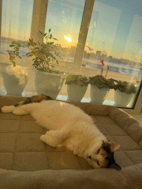 Беляша: «Я еще посплю, а вы идите все… на работу»