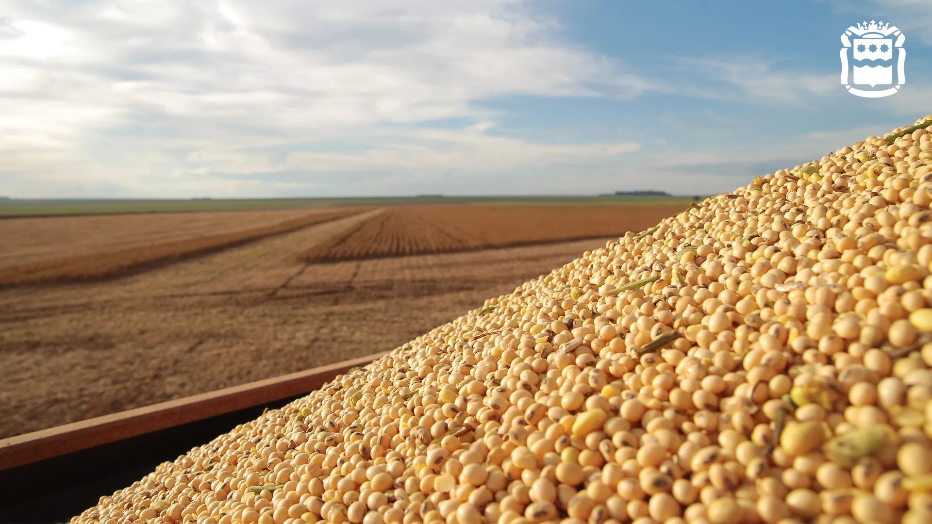 Губернатор Приамурья: Правительство РФ утвердило мастер-план Циолковского