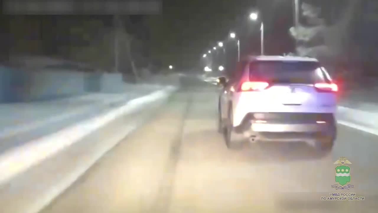 Задержанный в ходе погони со стрельбой нетрезвый водитель из Амурской области получил 10 суток ареста - МВД медиа