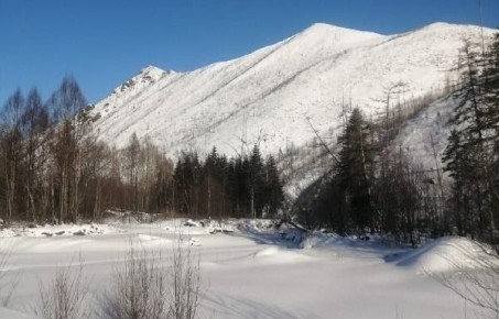 След в след: в заказниках Приамурья начали готовиться к традиционной зимней «переписи населения»