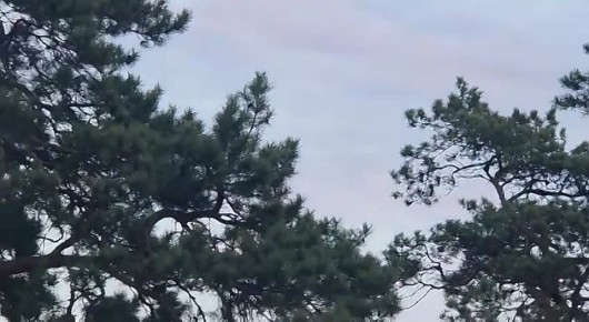 За виражи над городом пилот из Белогорска заплатит крупный штраф