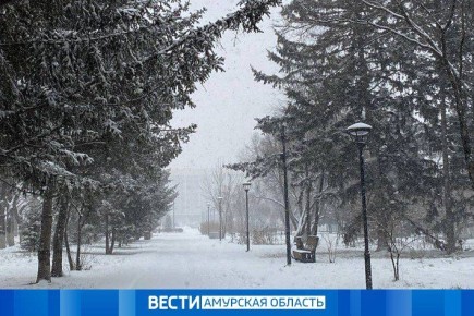 Небольшой снег прогнозируется местами по северным районам области