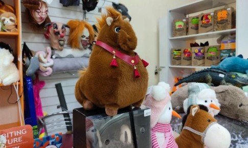 Ход конем: какие подарки с символом 2026 года можно найти в Благовещенске