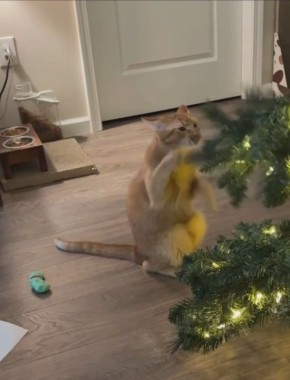 Доброе утро! . У кого-то подготовка идет полным ходом