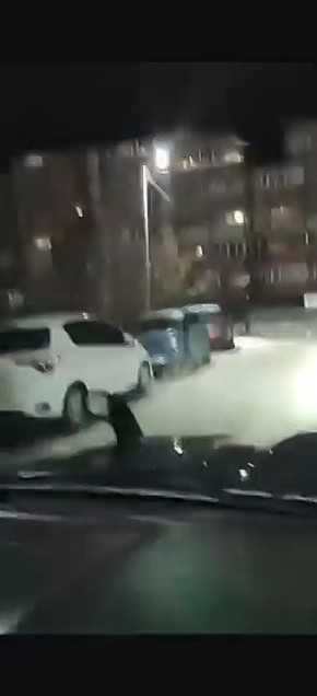 Рыси в городе: ещё одну дикую кошку заметили накануне среди многоэтажек в Благовещенске