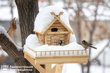 Прогноз погоды в Благовещенске на 12 декабря: