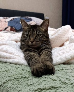 Кузя следит за тем, чтобы все собрались в школу вовремя