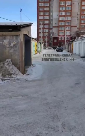 Рысь, которая бегала по улицам Благовещенска, наконец вернулась в лес