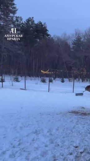 Желаем всем такого же хорошего настроения, как у Семёна, живущего на базе «Радуга»