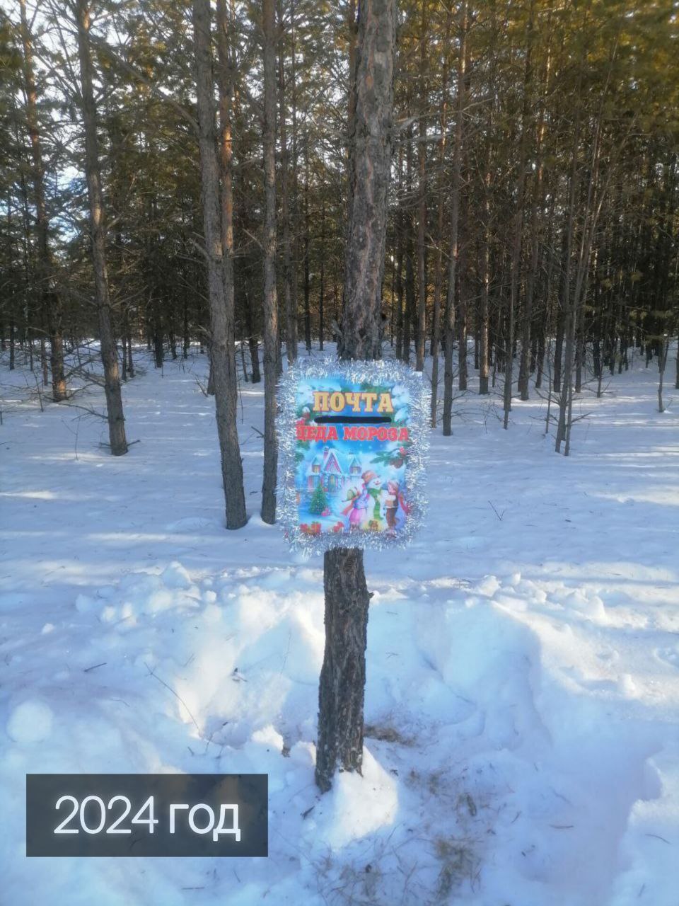 Помощники волшебника: жители Шимановска устанавливают на опушке леса почтовый ящик Деда Мороза Помощники волшебника: жители Шимановска устанавливают на опушке леса почтовый ящик Деда Мороза