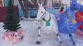 Тройка снежных лошадей и сказочная иллюминация украсили двор жителя Зеи Василий Казнадеев второй год украшает необычными фигурами и композициями территорию рядом со своим домом. Несмотря на 30-градусный мороз и трудовые...