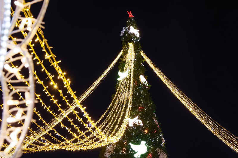 Горки, катки и утренники: самой насыщенной будет программа в областной столице Горки, катки и утренники: самой насыщенной будет программа в областной столице