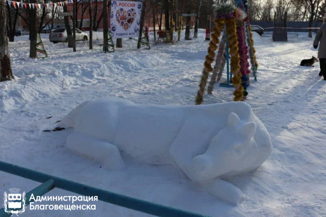 Как благовещенцы украшают свои дворы к новому году Как благовещенцы украшают свои дворы к новому году