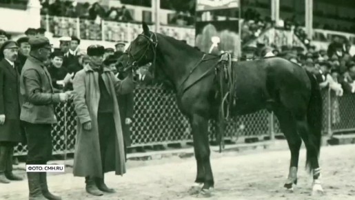 Благовещенскому ипподрому - 120 лет!