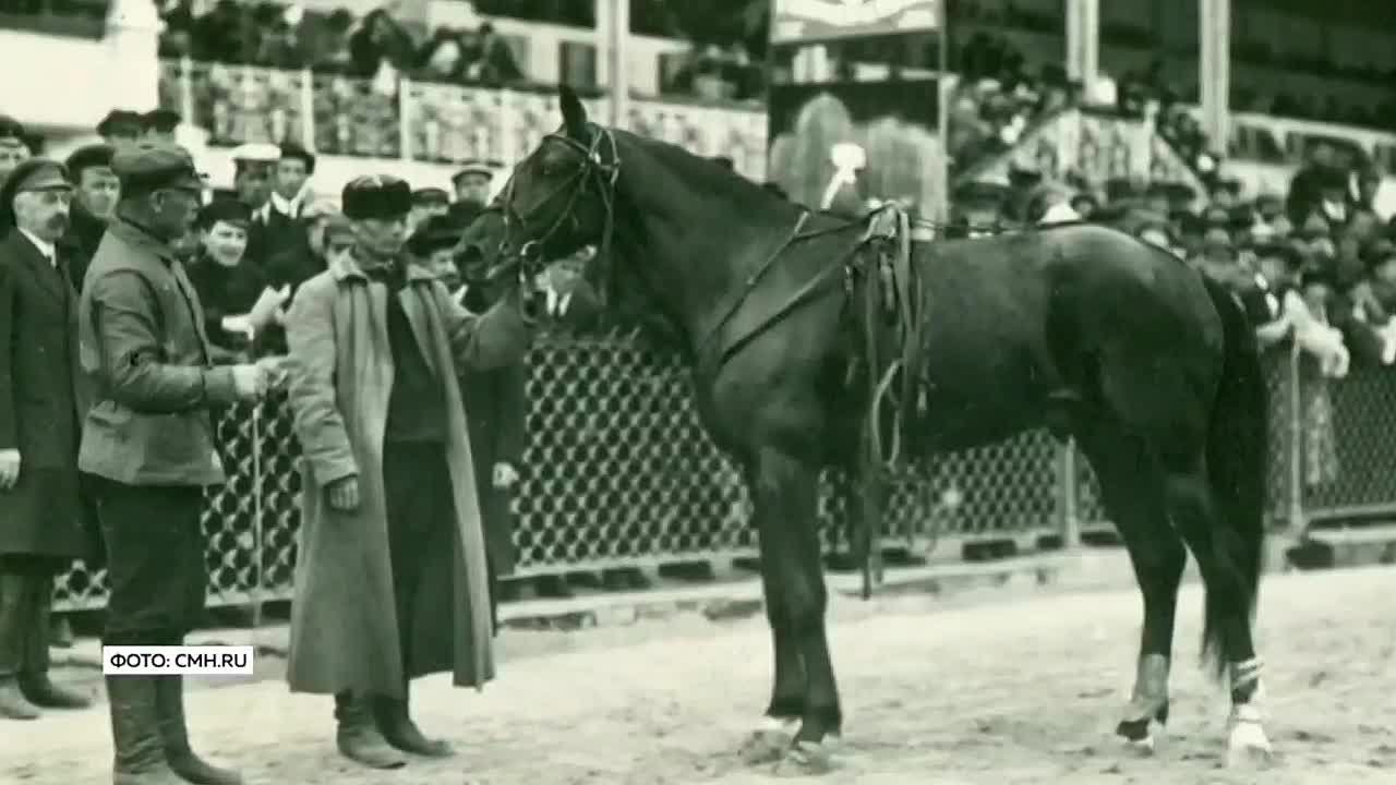 Благовещенскому ипподрому - 120 лет!