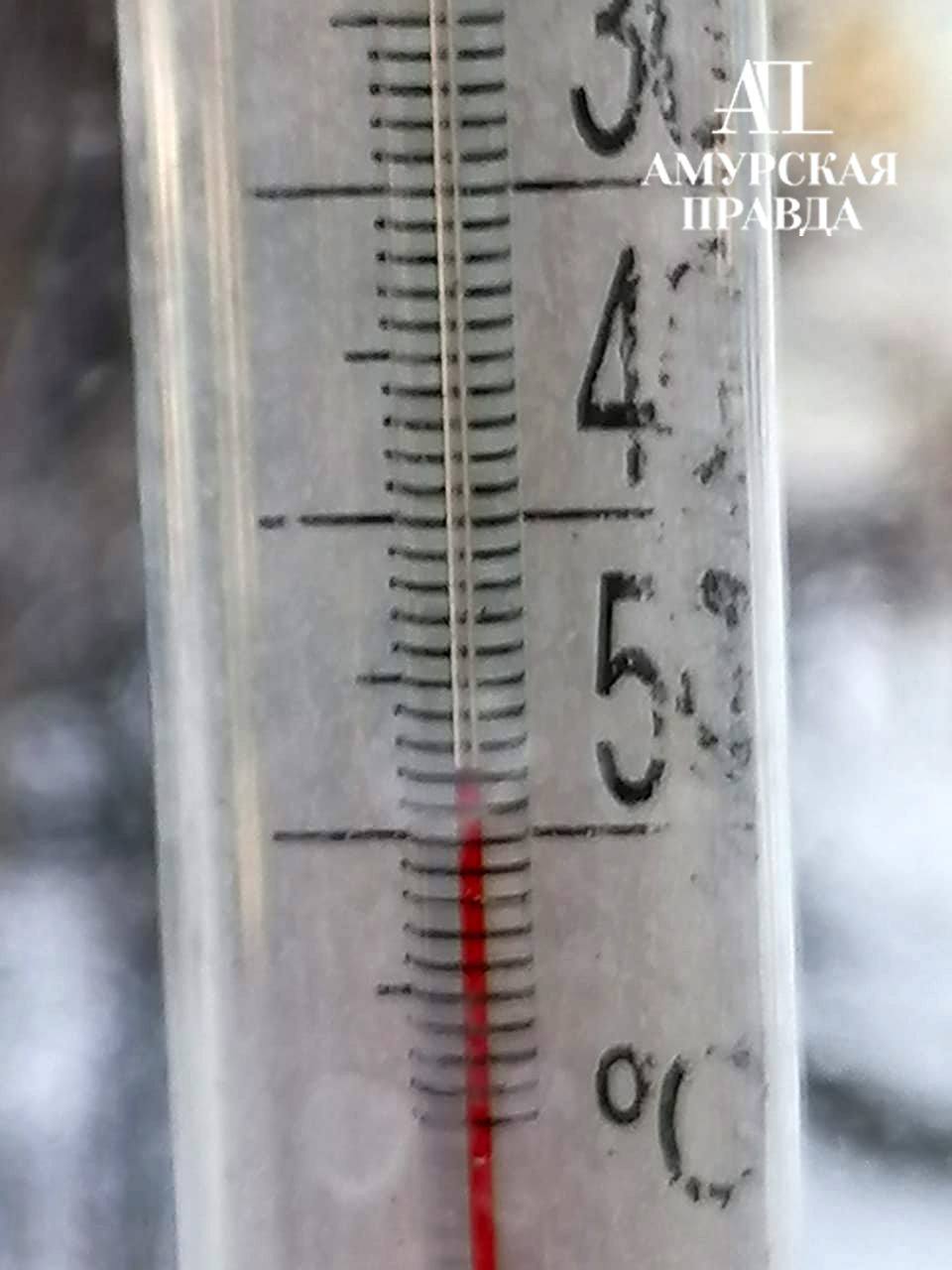 Тем временем в Тынде. @ampravda