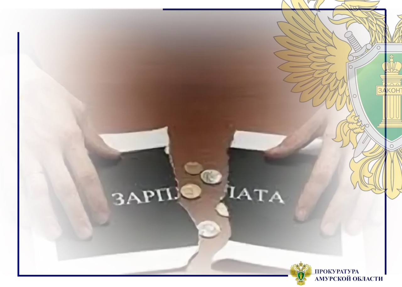 В Свободном несвоевременная выплата заработной платы обернулась административным разбирательством и штрафами для организации