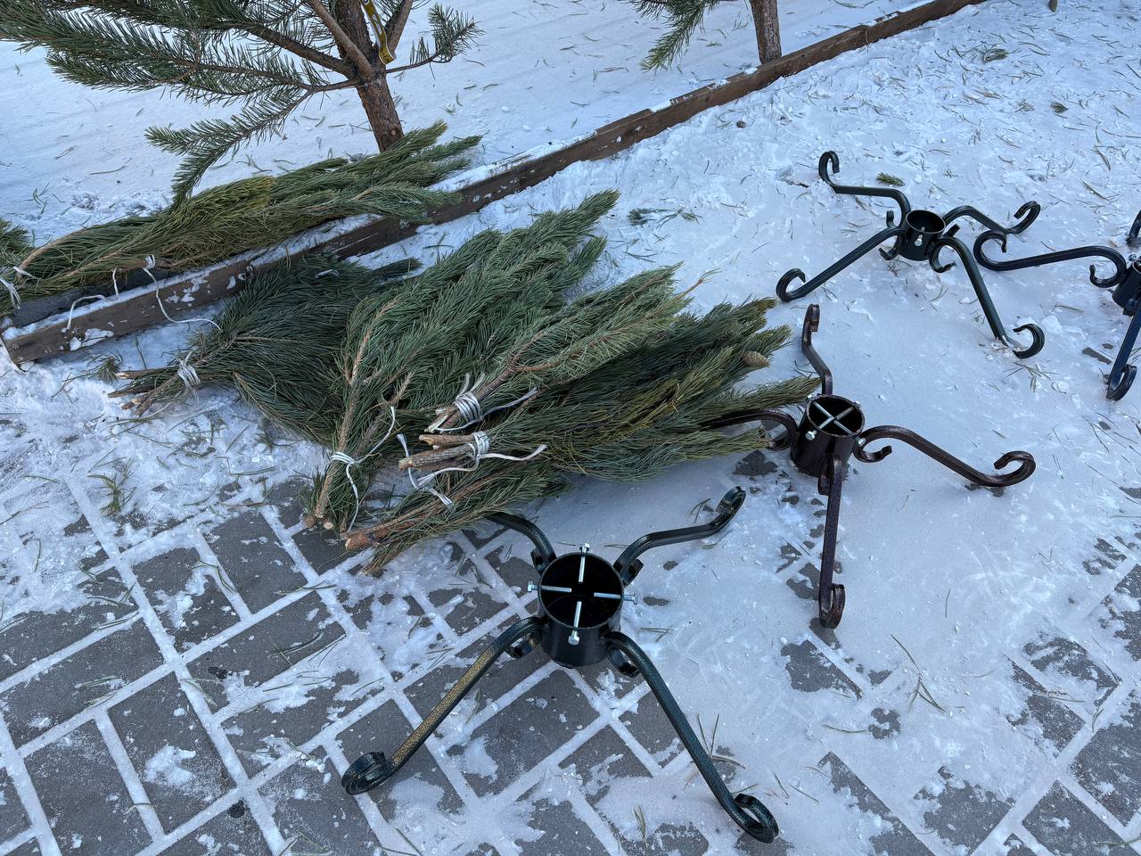 На улицах Благовещенска горожане заметили точки продаж новогодних деревьев На улицах Благовещенска горожане заметили точки продаж новогодних деревьев