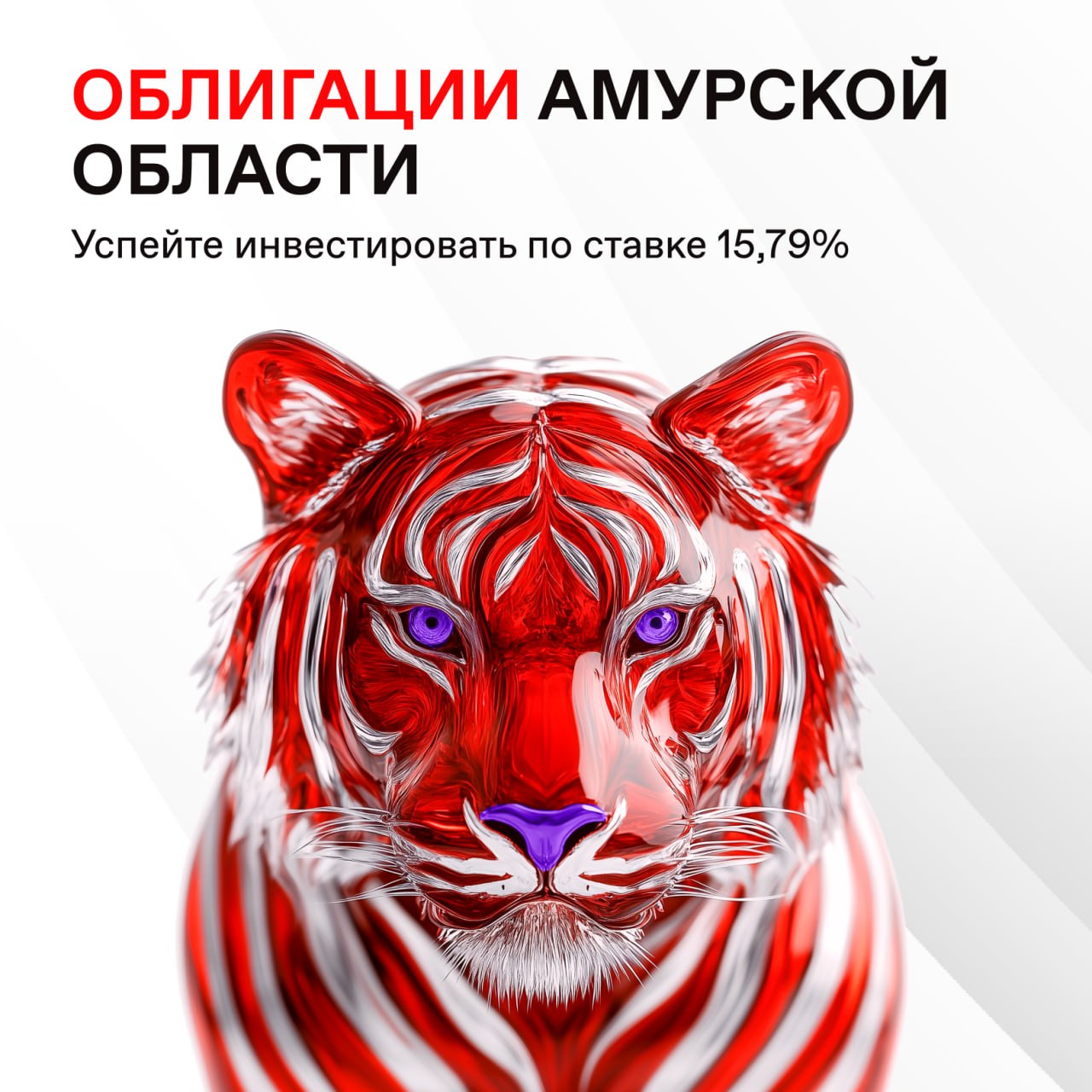 Народные облигации Амурской области: простой и надежный способ сохранения и приумножения средств