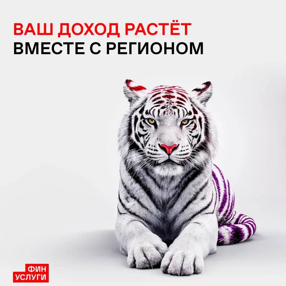 У амурчан осталось всего 10 дней, чтобы купить народные облигации Амурской области
