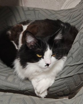 Среда. А хотелось бы пятницу…