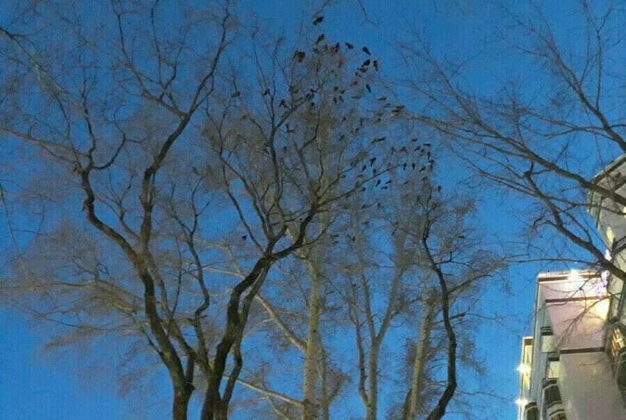 ������������ ����� ���������� � ����� � �������� �������� ��������� ������ ������ �� �����