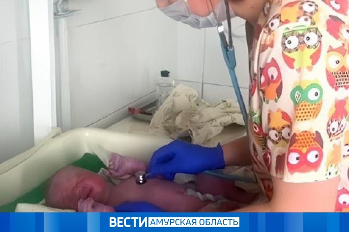 Частные клиники Амурской области подключают к единой системе учёта беременных