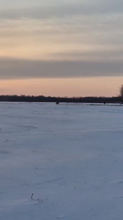 �������� �������� ������� � ����������� ������ ����������� ����������� ���������� �� ������ ��������� ����