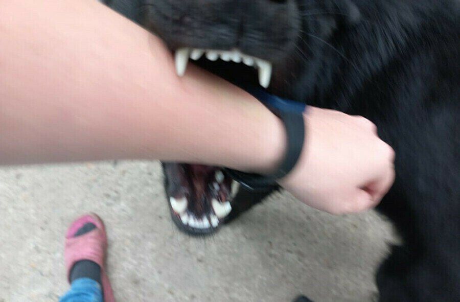 ���������� ��������� ����������� ������� �������� ���������� �������� �������� �������������� � ����������������� �� ������������� ���������������� � ����� ��������� � ��������� ��� ����������